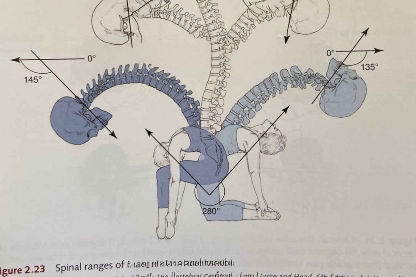 Blankets: Reel Boy, Miss Bootleg, The Alpines